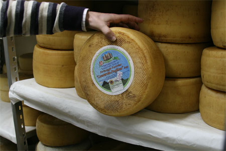 Canestrato Pugliese - Altamura | Secret World Trip Planner