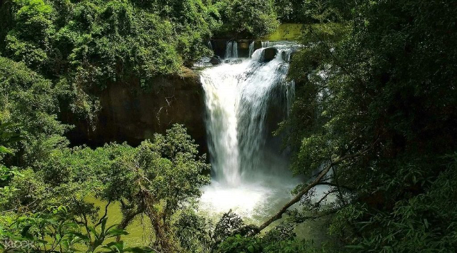 Khao Yai nationalpark - Provincia di Nakhon Ratchasima | Secret World Trip Planner
