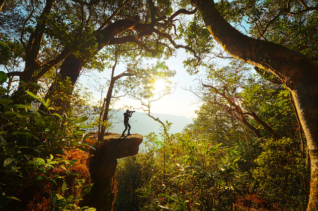 Khao Yai nationalpark - Provincia di Nakhon Ratchasima | Secret World Trip Planner