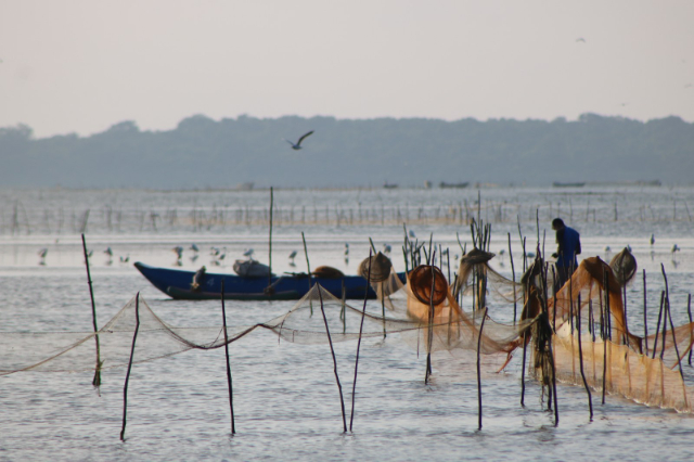 Lagoa de Kokkilai — Kokkilai Lagoon