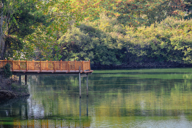 Thermi-dæmningen: Et roligt tilbagetog i naturen - Thermi | Secret World Trip Planner