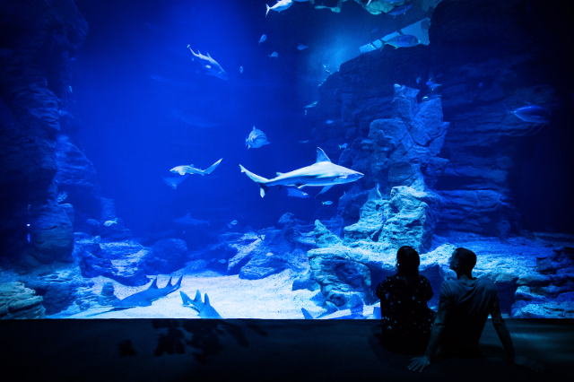 Planet Ocean World - Montpellier | Secret World Trip Planner