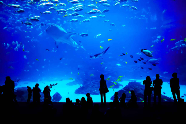 Planet Ocean World - Montpellier | Secret World Trip Planner