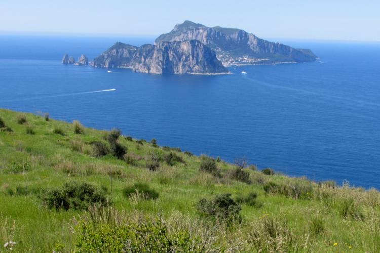 푼타 캄파넬라 - Area naturale marina protetta Punta Campanella | Secret World Trip Planner