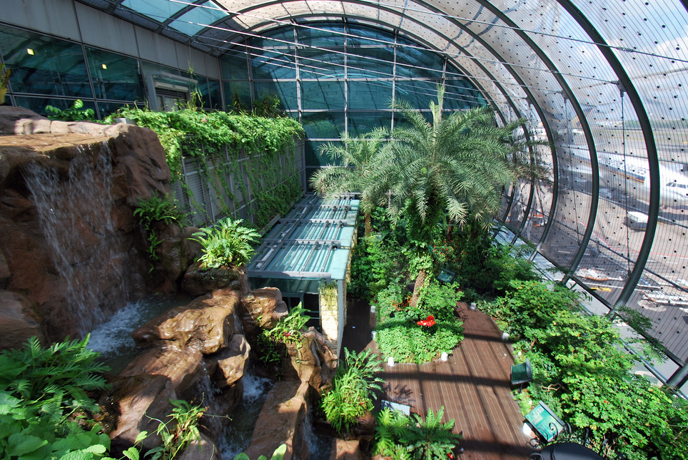 Singapore and The world's first Butterfly Garden — Singapore