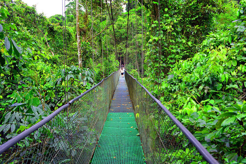 Il Tirimbina Rainforest Center è un rifugio nazionale per la fauna selvatica, gestito come centro educativo — La Virgen