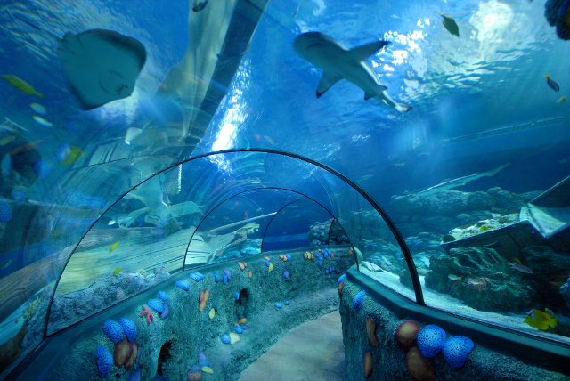 Espectador Sea Life - Speyer | Secret World Trip Planner