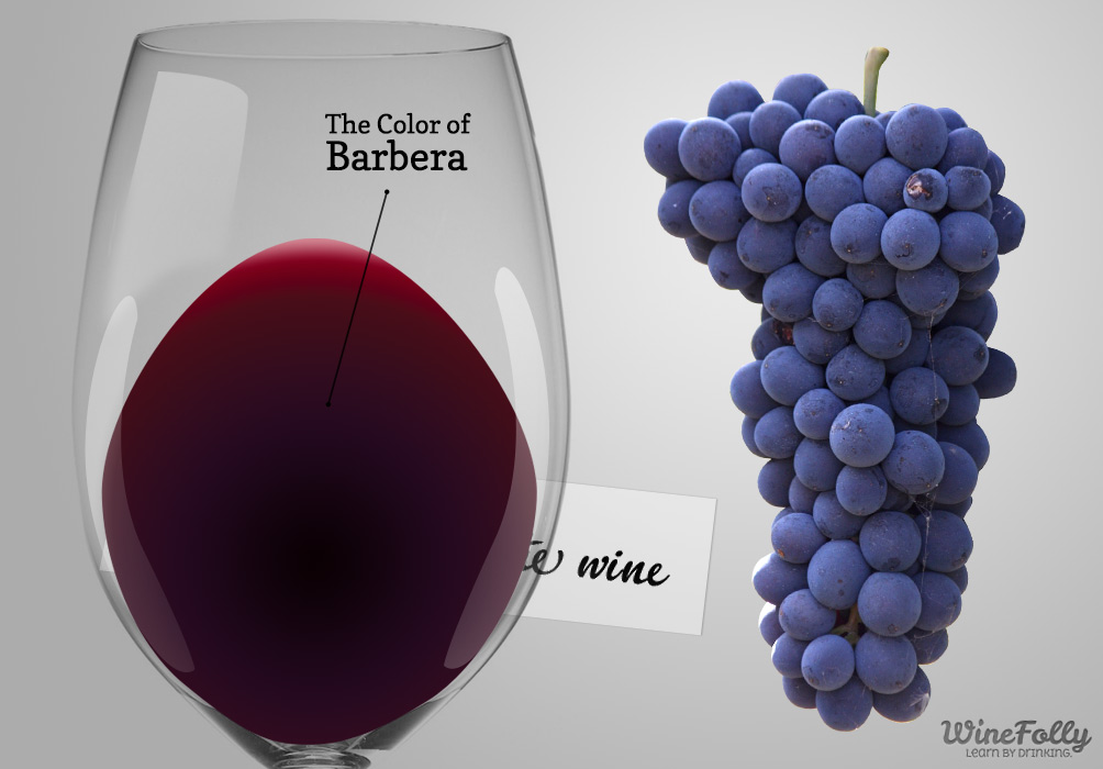 Mvinyo Bora Duniani | Barbera d'Alba doc - 12051 Alba CN | Secret World Trip Planner