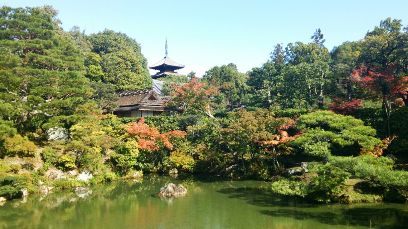 Ninnaji è uno dei grandi templi dell'Unesco a Kyoto - Ky?to-shi | Secret World Trip Planner
