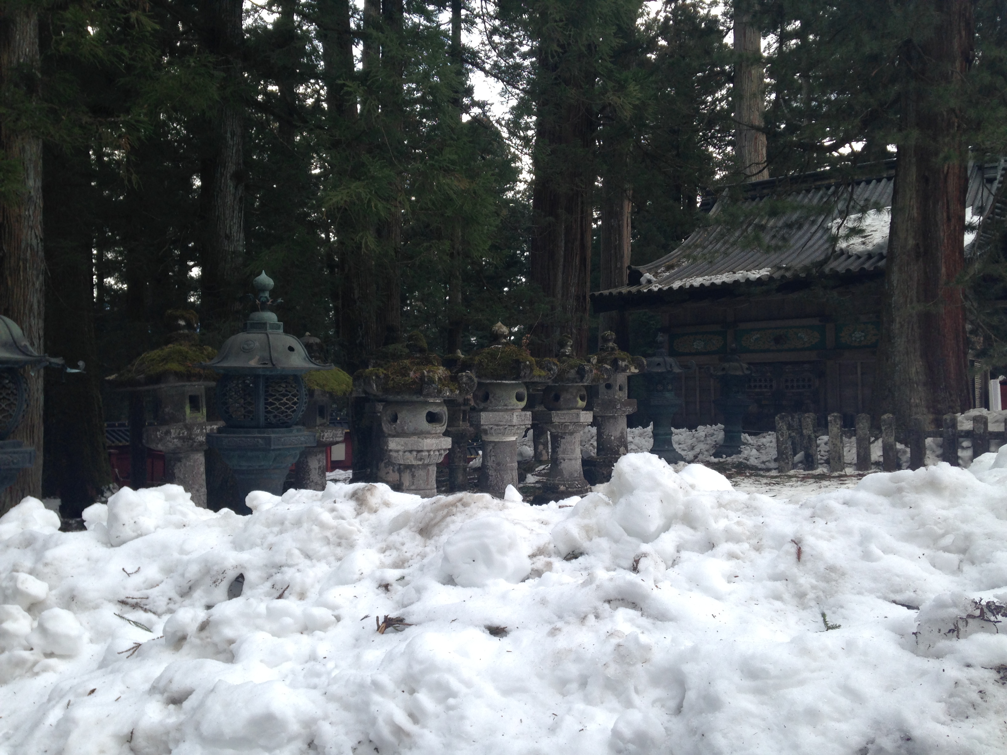 Santuario di Toshogu: il luogo di riposo finale di Tokugawa Ieyasu - Nikk?-shi | Secret World Trip Planner