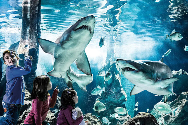 Ang aquarium ng Genova - Genova | Secret World Trip Planner