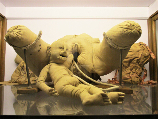 Il Museo Flaubert e la storia della medicina - Rouen | Secret World Trip Planner