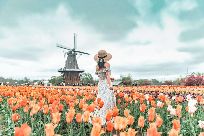 Festivalul Lalelelor - Holland | Secret World Trip Planner