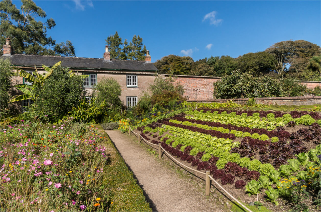 Jardins de Trengwainton - Madron | Secret World Trip Planner