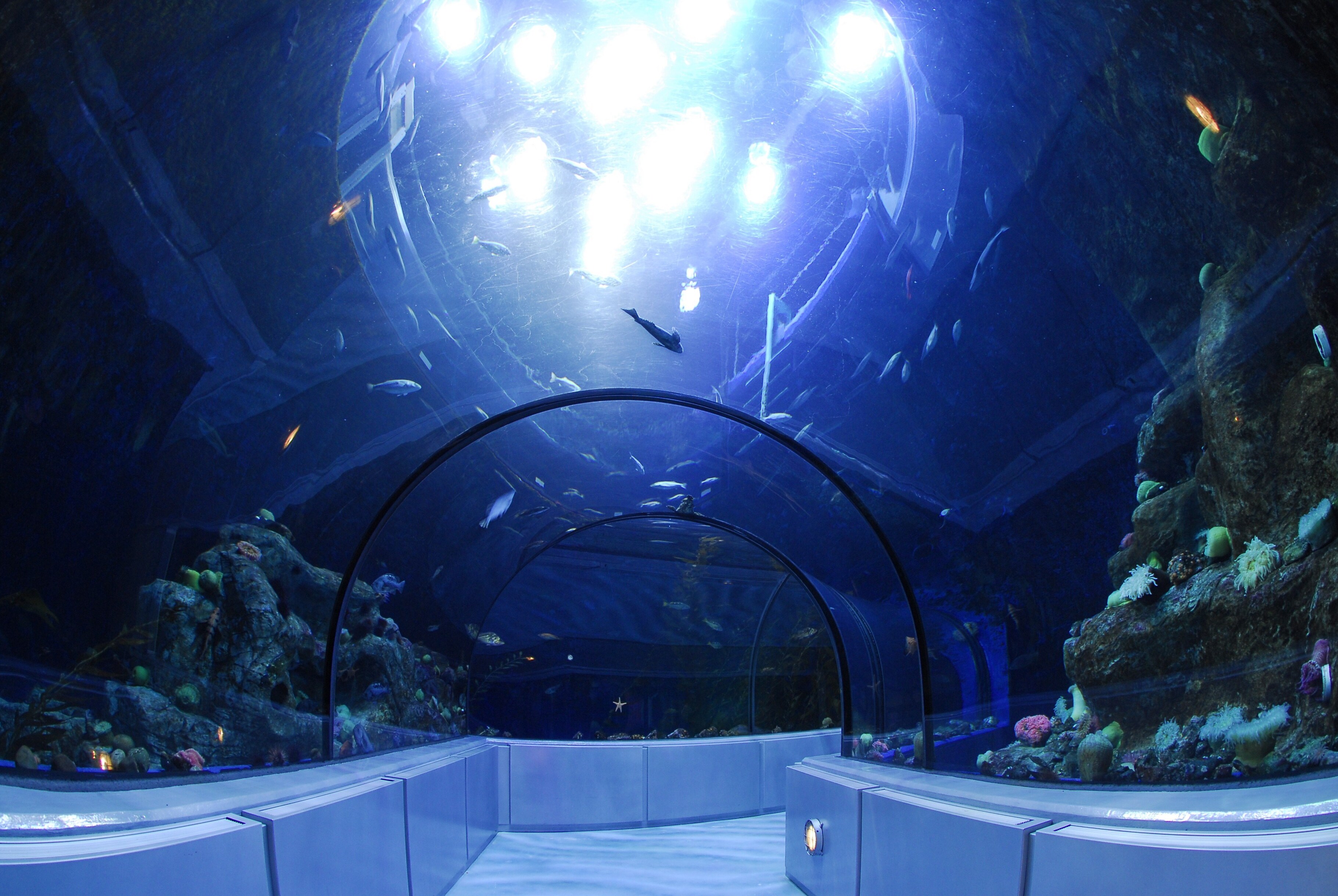Parc Aquarium du Québec - Québec | Secret World Trip Planner