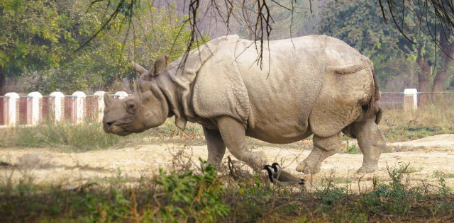 Lal Suhanra National Park - Bahawalpur | Secret World Trip Planner