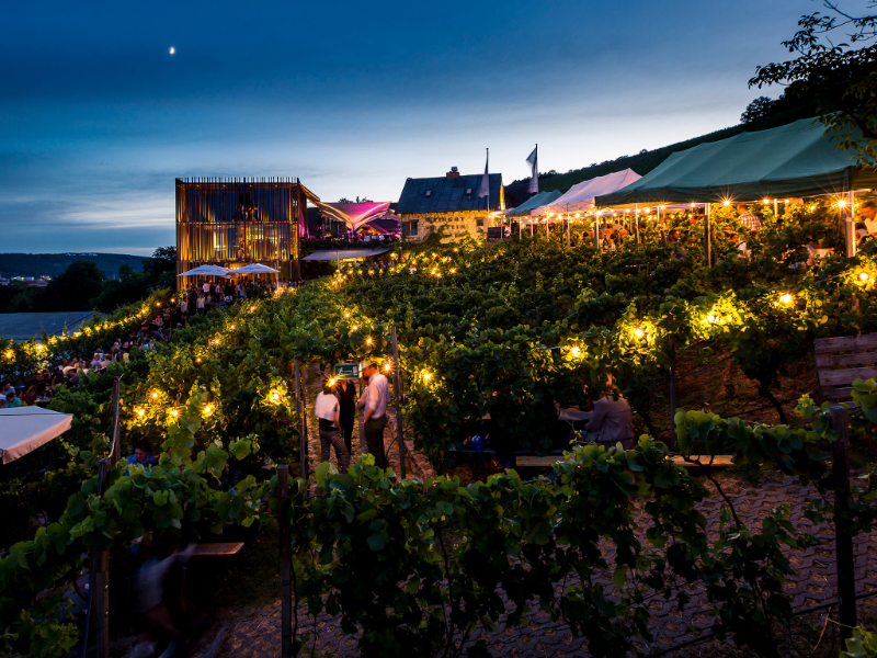 વુર્ઝબર્ગની વાઇન ટ્રેઇલ - Würzburg | Secret World Trip Planner