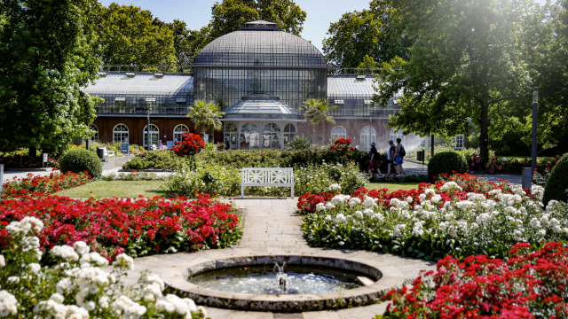 Palmu dārzs - Frankfurt am Main | Secret World Trip Planner
