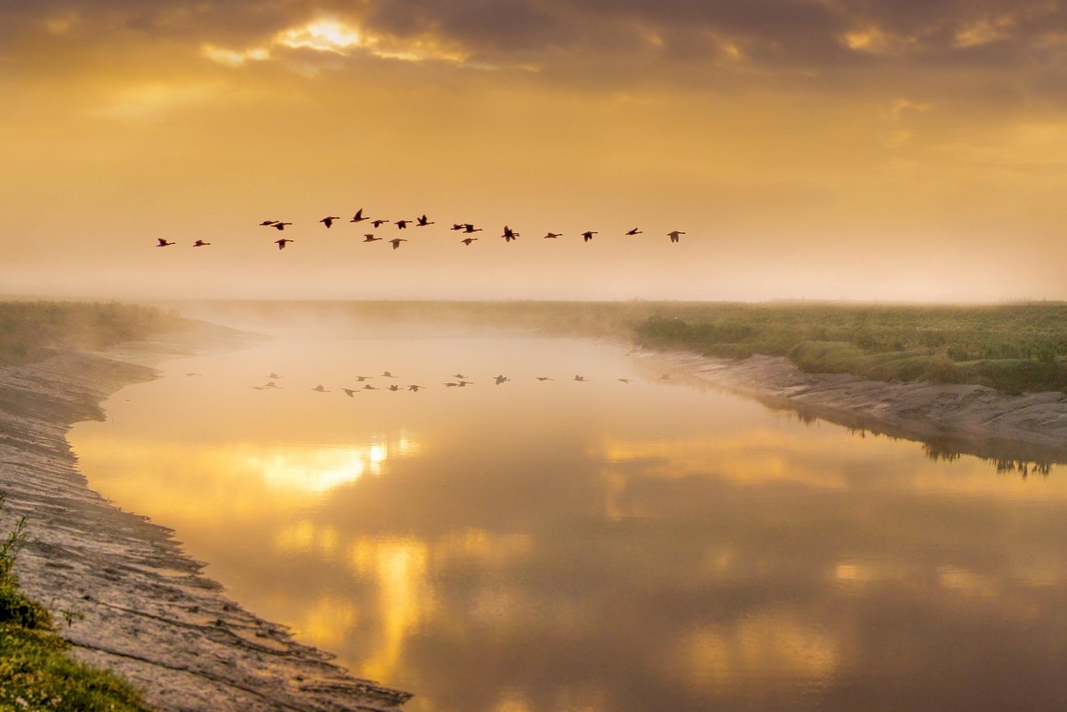 Cognac and the Charente riverside - La Rochelle | Secret World Trip Planner