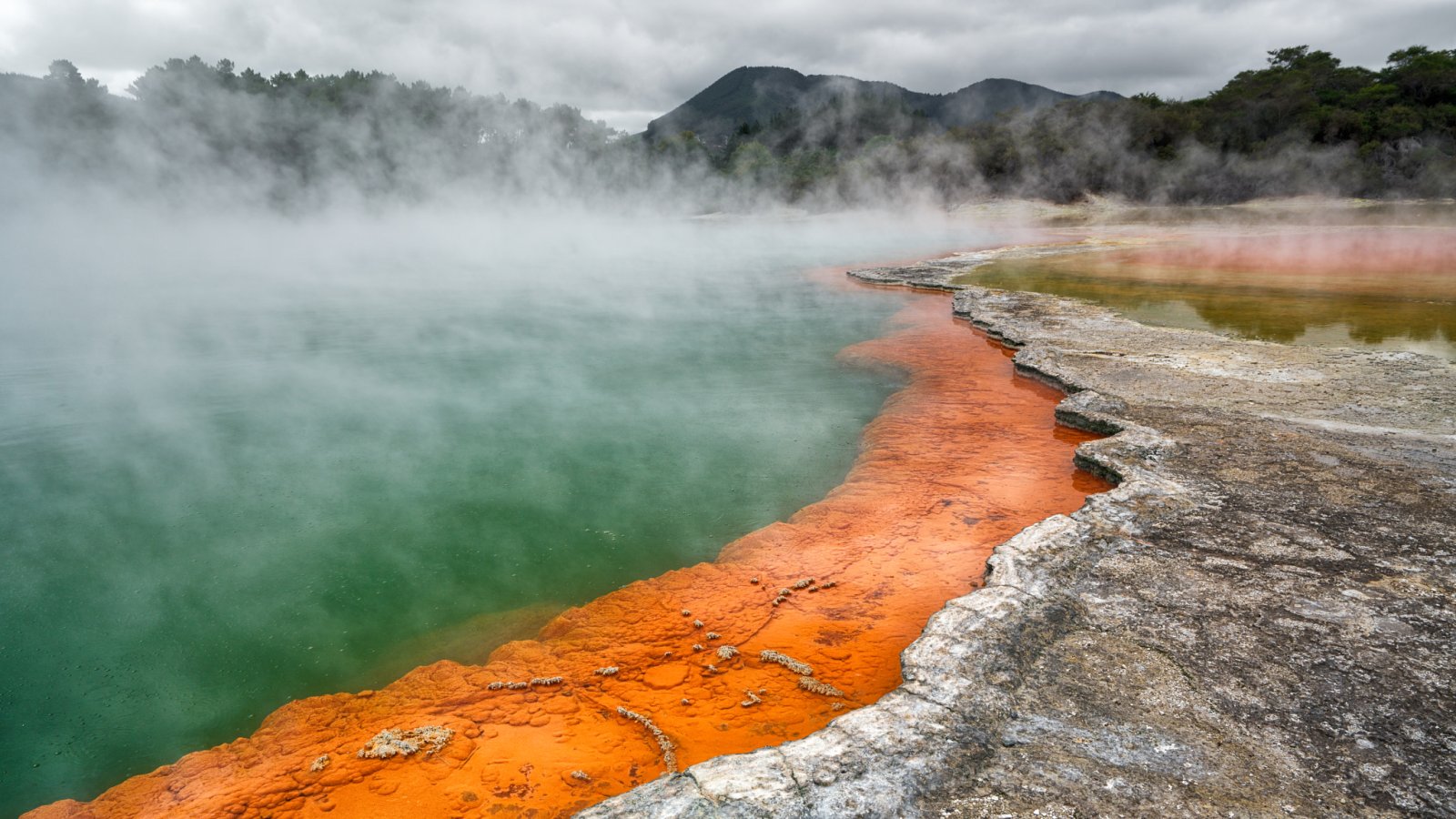 Wai-O-Tupu un'area geotermica attiva in Nuova Zelanda - Rotorua | Secret World Trip Planner