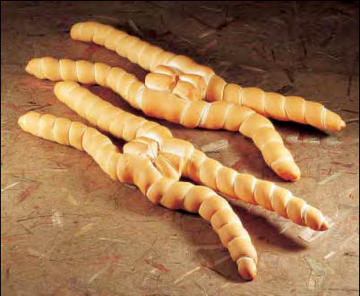 Cuplul Ferrara - Ferrara | Secret World Trip Planner