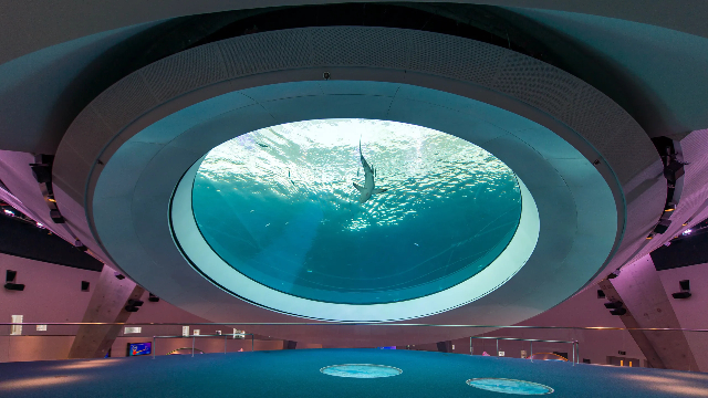 Phillip e Patricia Frost Museum of Science - Miami | Secret World Trip Planner