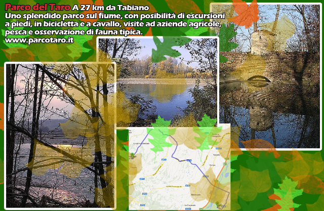 Taman Sungai Taro - 12 | Secret World Trip Planner