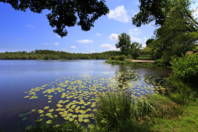 Il Lago Aureilhan och Winston Churchill - Aureilhan | Secret World Trip Planner