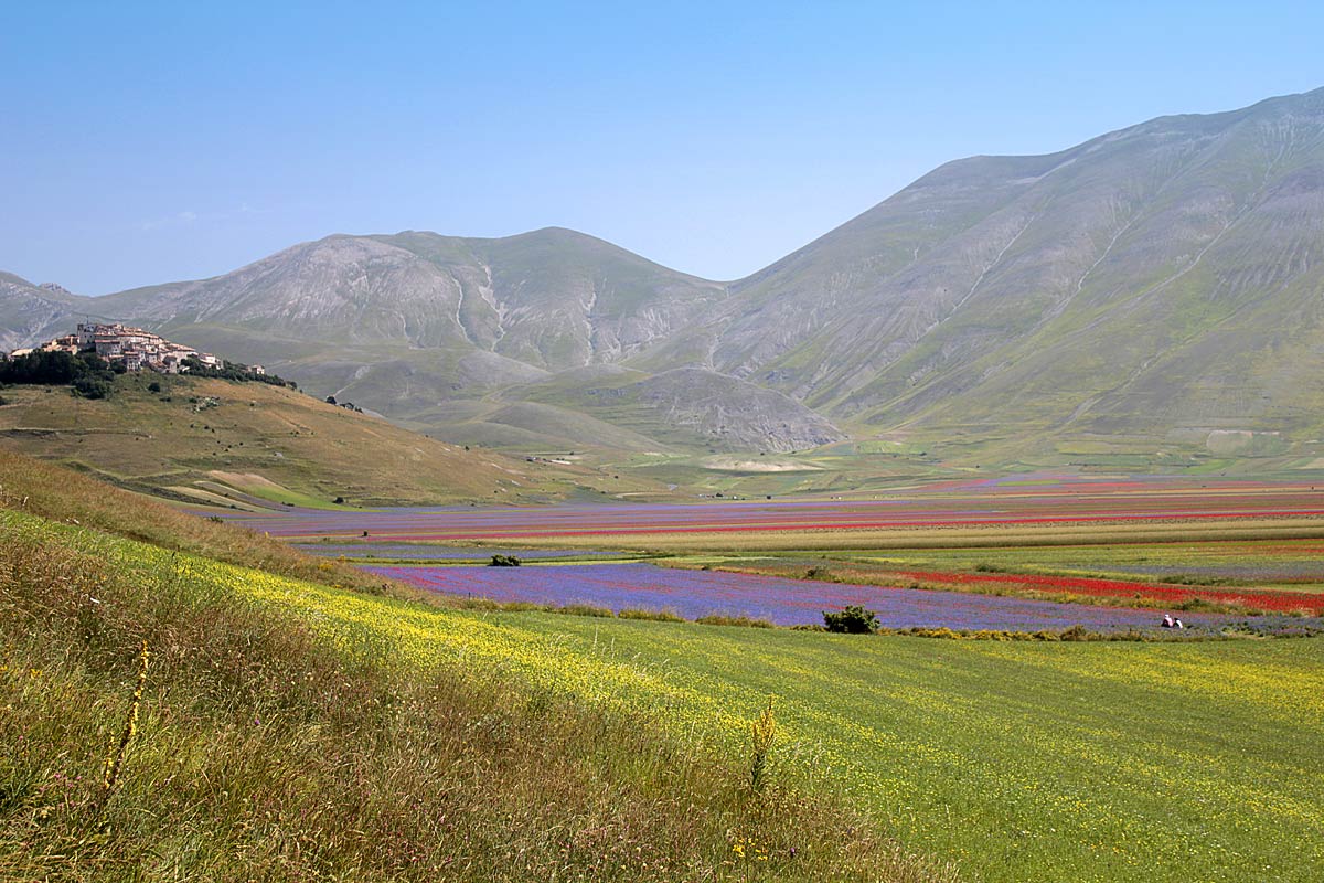 La floració de Castelluccio - Castelluccio | Secret World Trip Planner