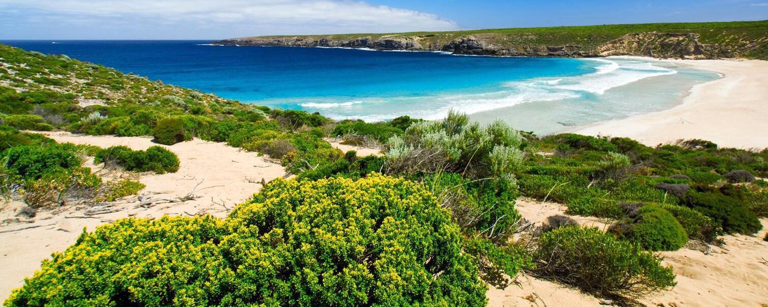 Australia | Kangaroo island — Isola dei Canguri