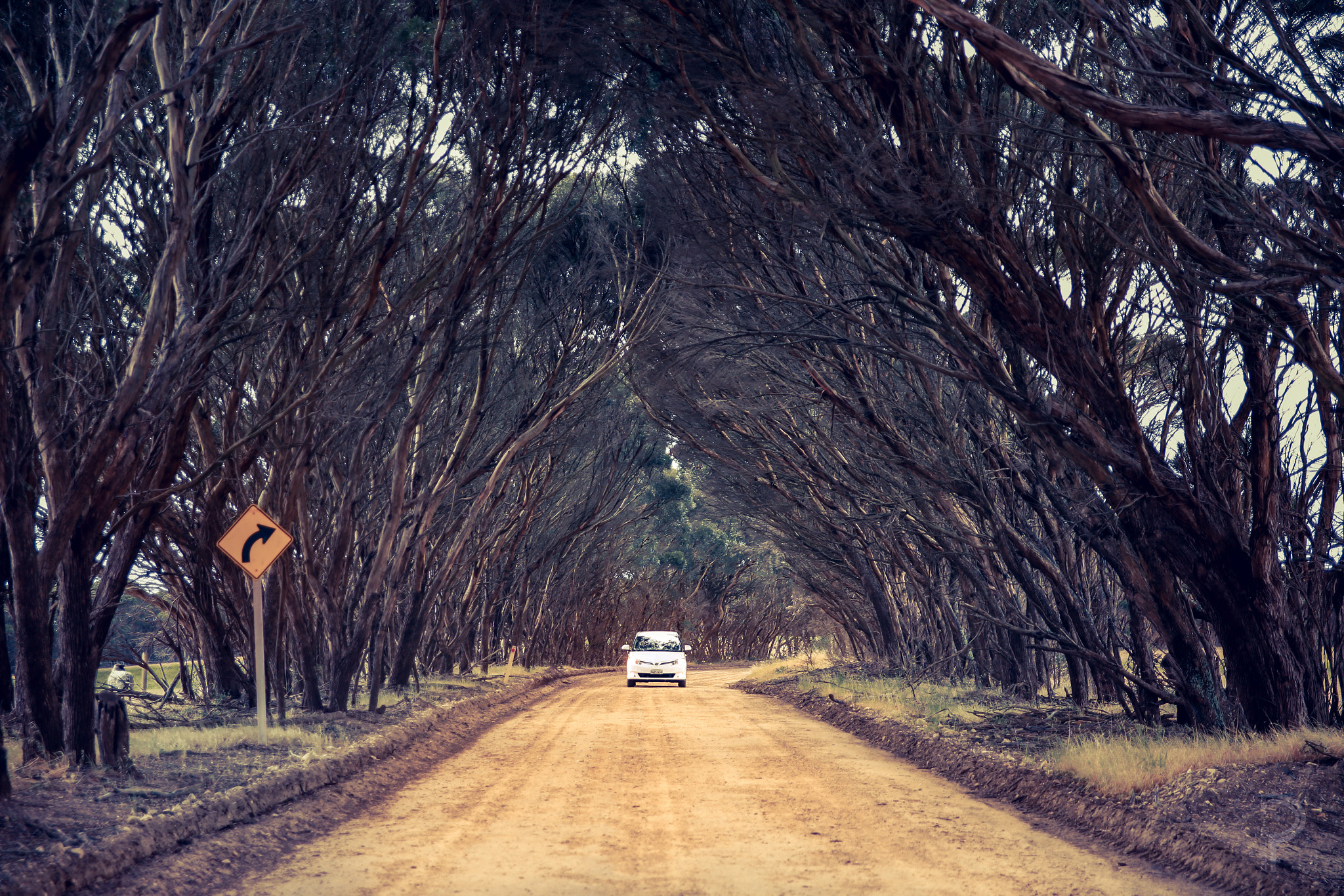 Australia | Kangaroo island - Isola dei Canguri | Secret World Trip Planner