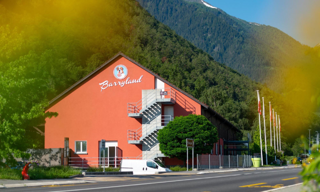 Barryland, Sent-Bernard it muzeyi - Martigny | Secret World Trip Planner