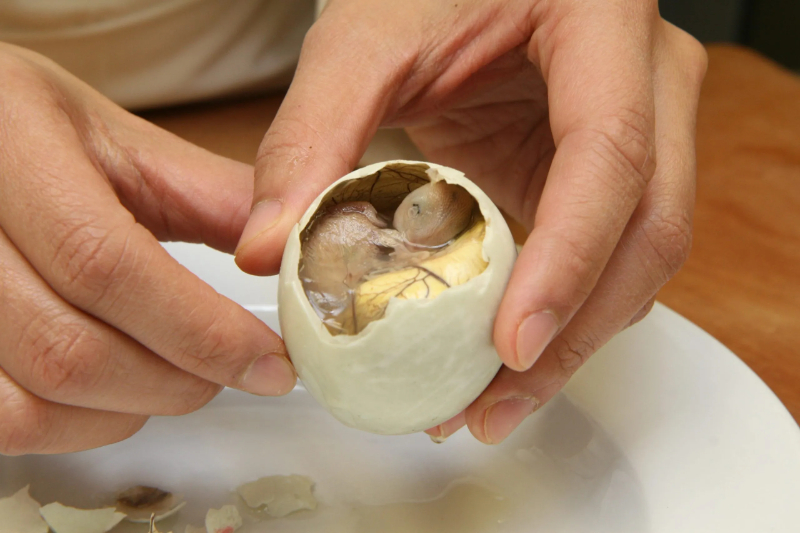 Balut - As Filipinas - Manila | Secret World Trip Planner
