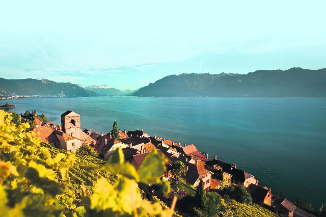 Lavaux, İsviçre üzüm bağları UNESCO mirası. - Distretto di Lavaux-Oron | Secret World Trip Planner