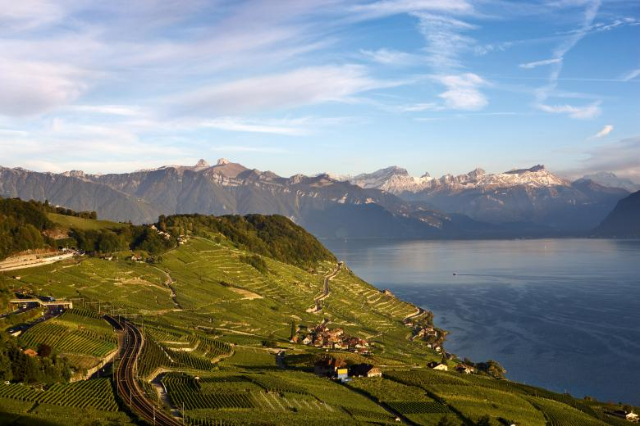 Lavaux, İsviçre üzüm bağları UNESCO mirası. - Distretto di Lavaux-Oron | Secret World Trip Planner