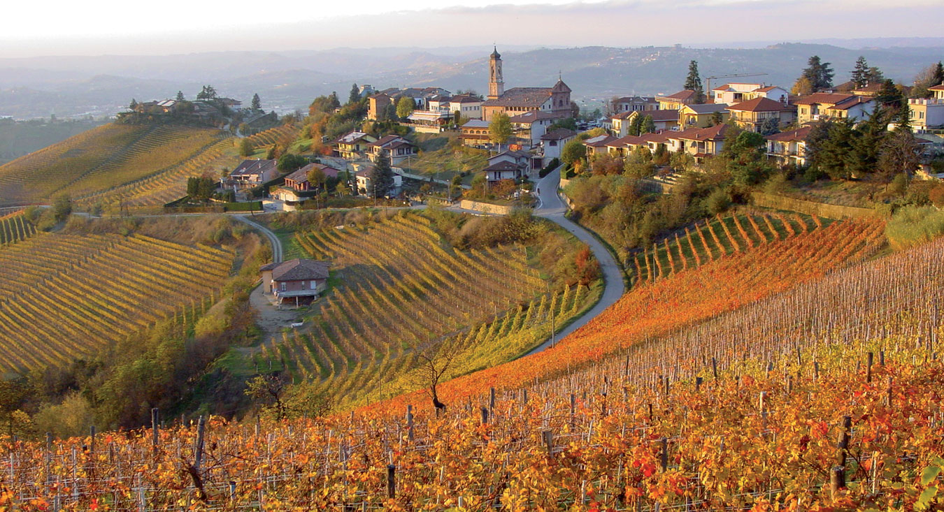 বিশ্বের শীর্ষ ওয়াইন: বারবারেস্কো - Barbaresco | Secret World Trip Planner
