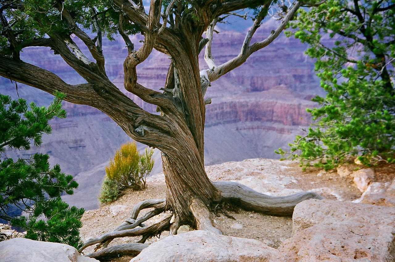 The Grand Canyon in Arizona - Hells Canyon | Secret World Trip Planner