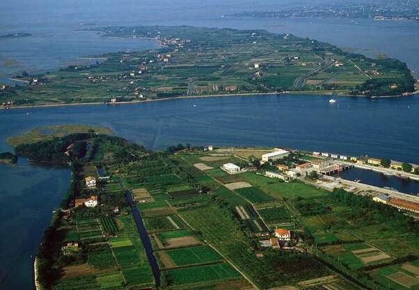 Sant’Erasmo, the secret island next to Venice! - Venezia | Secret World Trip Planner
