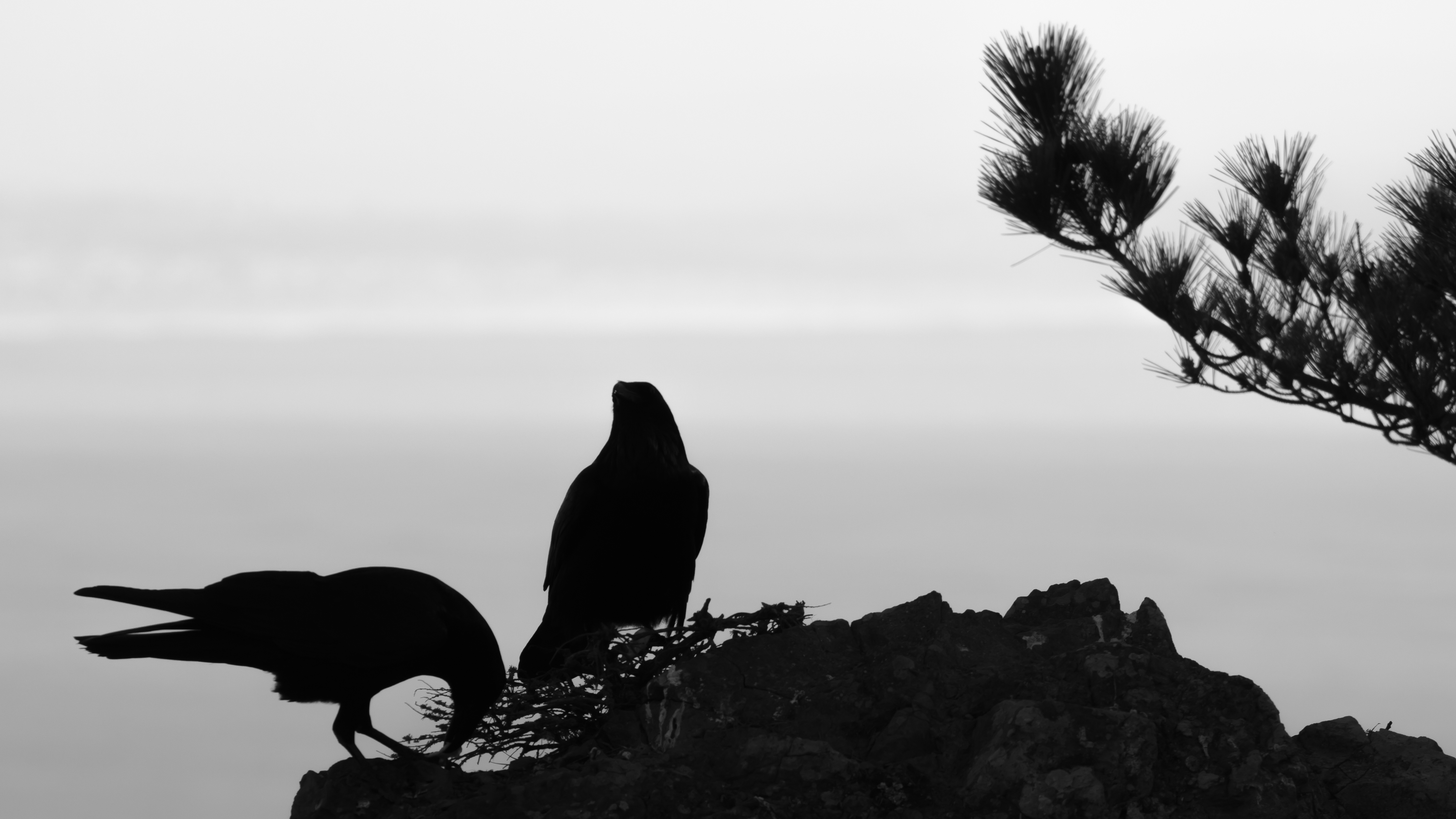 California | Muir Beach (the beach) - Spiaggia di Muir | Secret World Trip Planner