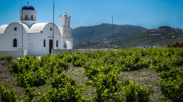 Вината на Санторини: Течното злато на Егейско море - Santorini | Secret World Trip Planner