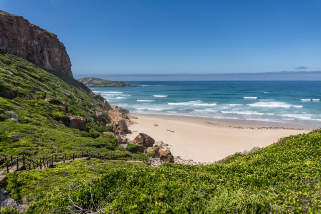 A Journey Through Robberg Nature Reserve: Nature’s Masterpiece - Robberg | Secret World Trip Planner