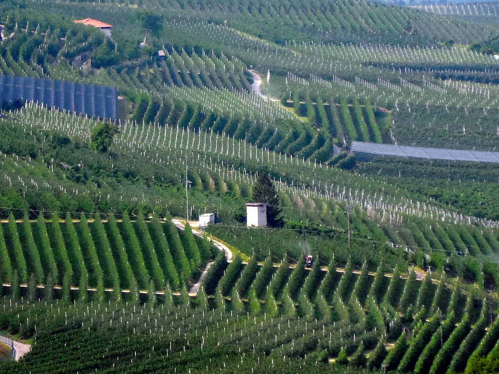 Val di Non-eko sagastiak - Val di Non | Secret World Trip Planner