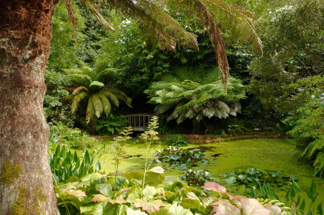 ট্রেংওয়াইন্টন গার্ডেন - Madron | Secret World Trip Planner