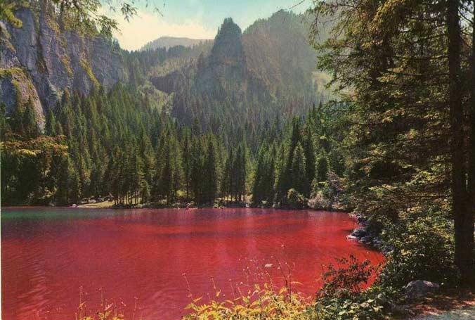جھیل ٹوول - Lago di Tovel | Secret World Trip Planner