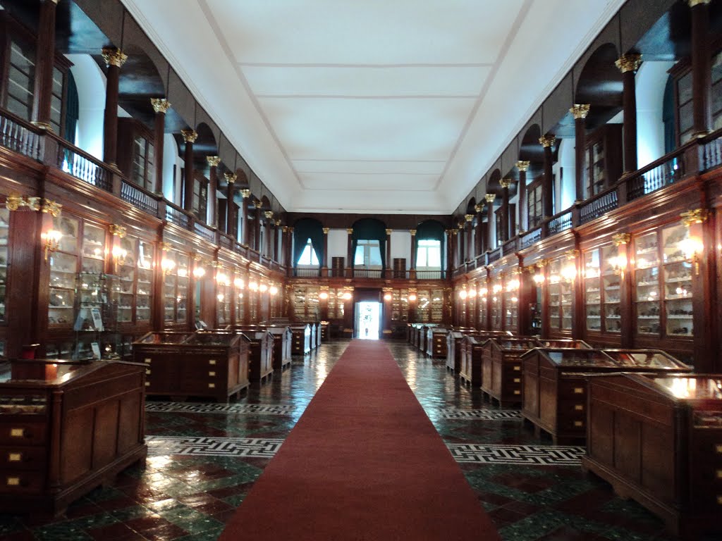 Real Museo Mineralogico - Via Mezzocannone | Secret World Trip Planner
