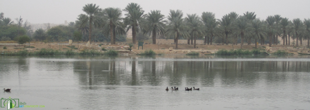 Al Hair Parks and Lakes: dove natura e tradizione saudita si incontrano - Riyad | Secret World Trip Planner