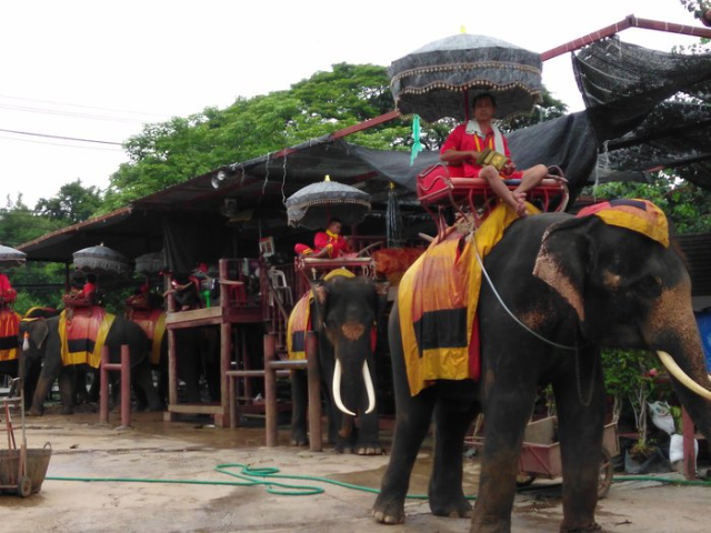 The Elephant Kraal of Ayutthaya - Suan Plik | Secret World Trip Planner