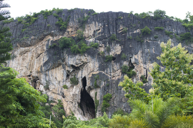 Bat Caves of Khao Yai National Park - Provincia di Nakhon Ratchasima | Secret World Trip Planner