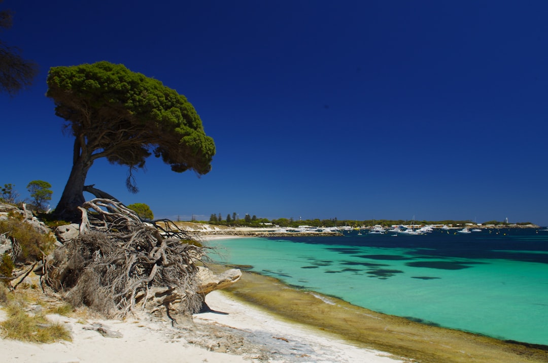L'isola di Rottnest, una piccola fetta di paradiso mediterraneo - Rottnest Island | Secret World Trip Planner