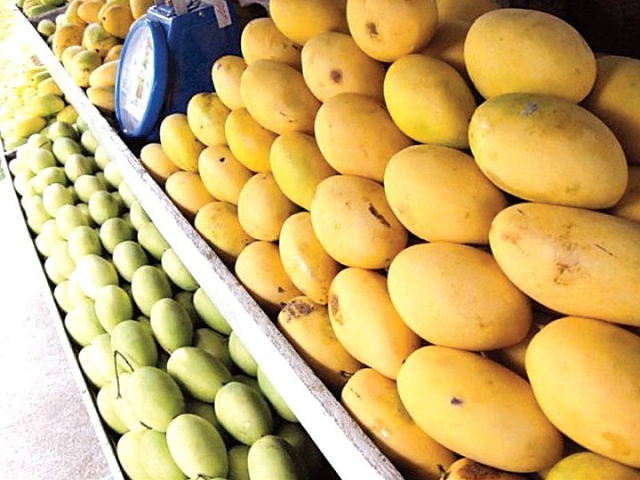 Mango Chaunsa - Kurukshetra | Secret World Trip Planner